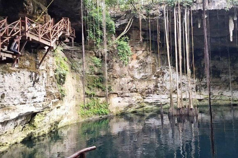 Tulum: Fauna maia na Casa Cenote