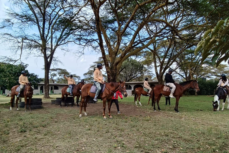 Viaje de lujo de 5 días a Amboseli, Lago Naivasha y Masai Mara