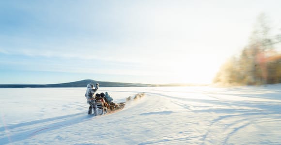 Rovaniemi: Rovaniemi Insider 5 km Self-Drive Husky Sled Tour