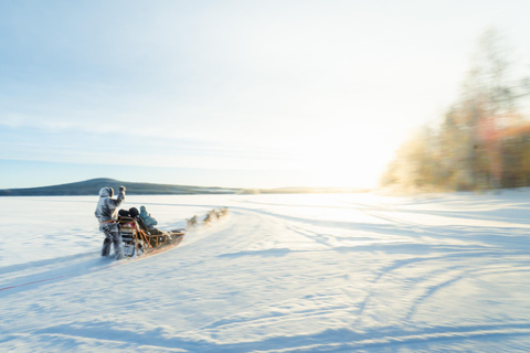 Rovaniemi: Insider 5km Husky Sledding Tour