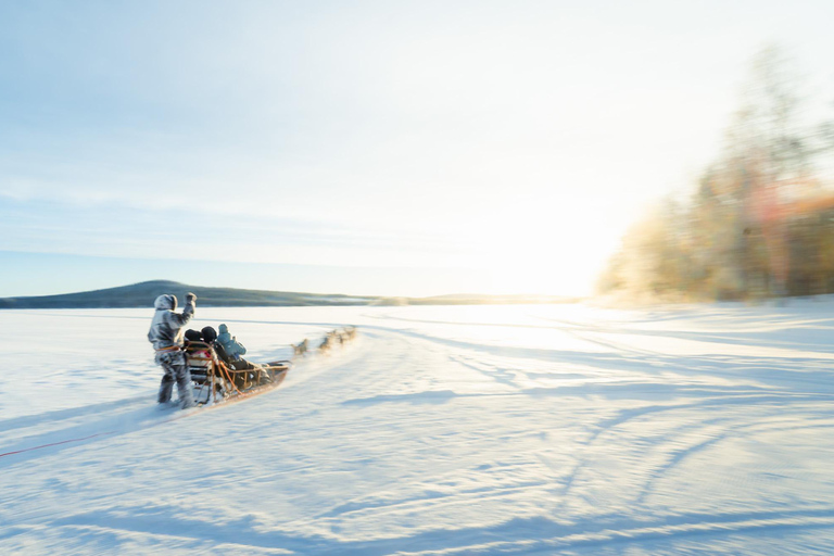 Rovaniemi: Insider 5km Husky Sledding Tour