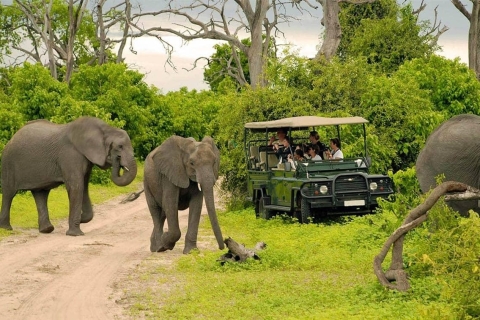 Safari de día completo por el Parque Nacional de Chobe