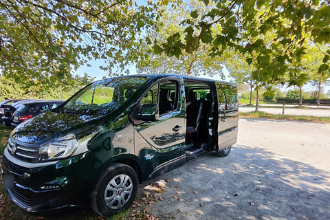 Prywatny transfer między Zurychem a Interlaken