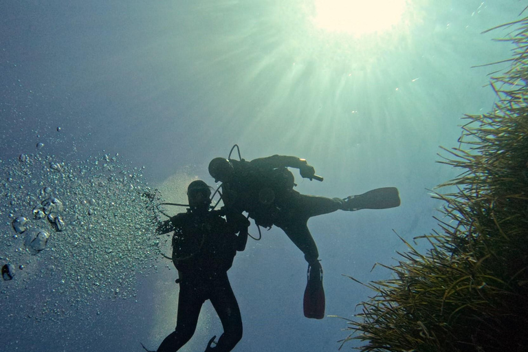 Minorque : baptême de plongée dans des eaux cristallines avec photosMinorque : Essayez la plongée sous-marine à Cala&#039;n Bosch