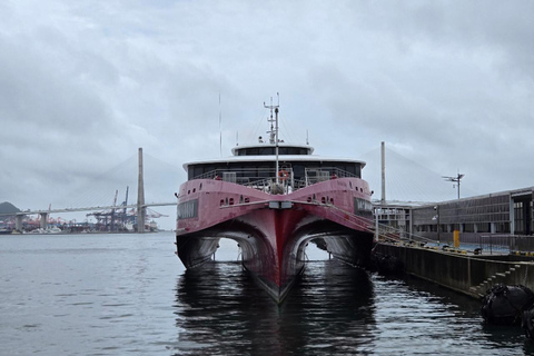 PanStar Busan Coastline Cruise & Sunset & Fireworks