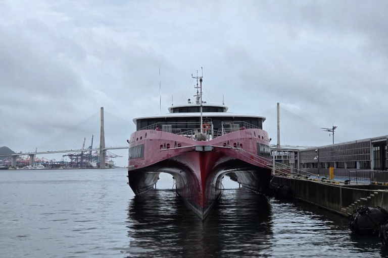 PanStar Busan Coastline Cruise & Sunset & Fireworks