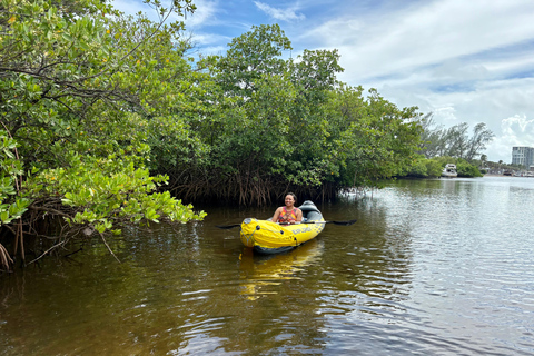 Fort Lauderdale: Kayak & Paddleboard Mangroves Eco Adventure