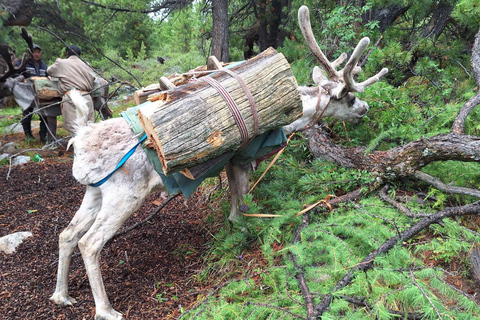 Ulaanbaatar: 9-Day Northern Mongolia Reindeer Adventure