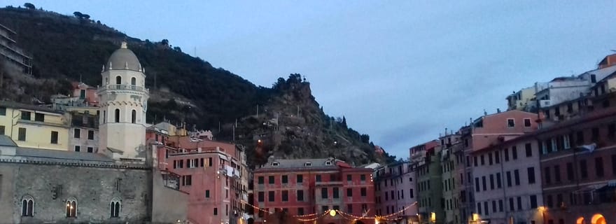 Vernazza (5 Terre) : visite d'une oliveraie et dégustation d'huile et de vin