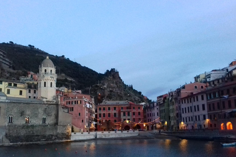Vernazza: Olive Grove Tour and 5 Terre Olive Oil and Wine Tasting Vernazza (5 Terre): olive grove tour and oil and wine tasting