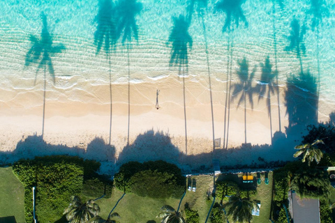 Punta Cana: Swim & Ride Horse on Caribbean Beach & Transport