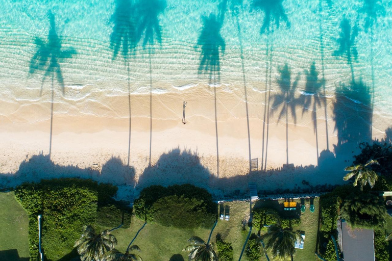 Punta Cana: Swim & Ride Horse on Caribbean Beach & Transport