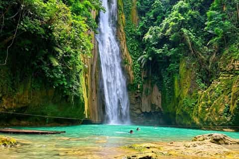 Cebu: Moalboal Island Hopping and Mantayupan Falls Day Trip - Image 3