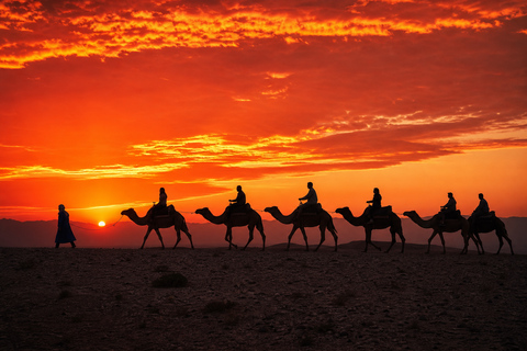 Marrakech: Agafay Desert Quad & Camel Rides with Dinner Show