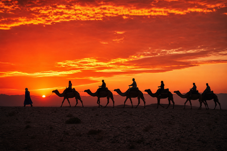 Marrakech: Agafay Desert Quad & Camel Rides with Dinner Show