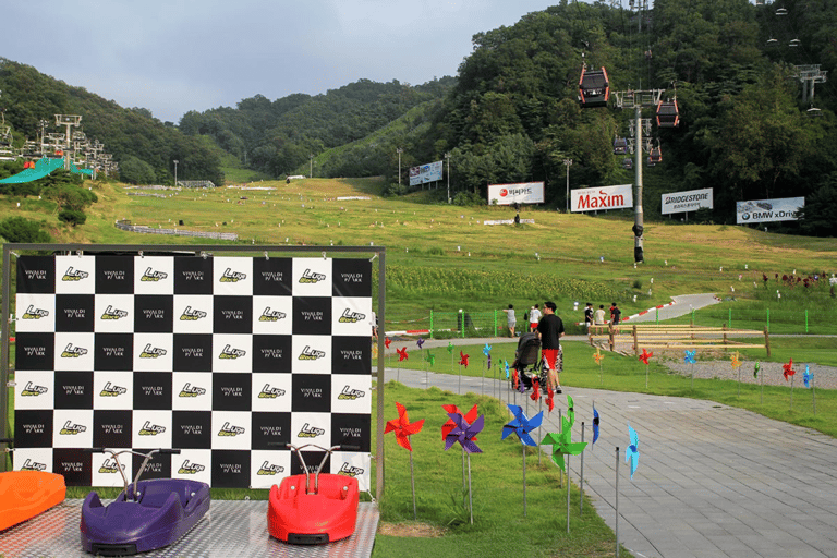 From Seoul: Alpaca Farm with Rail bike/ Luge Racing Railbike Group Tour, meet at Dongdaemun (DDP)