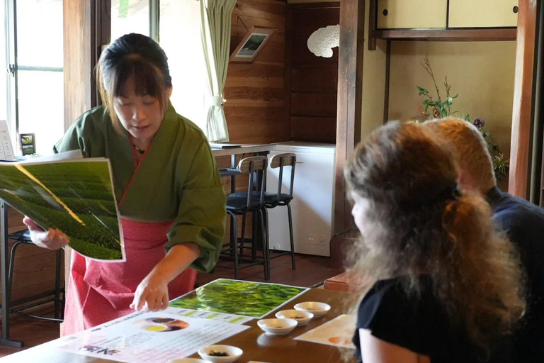 Wazuka: Tea Picking Experience with Matcha Tea Tasting