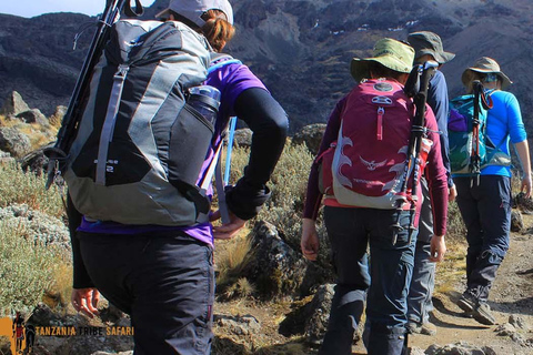 Moshi: Excursión de un día a la meseta del Shira con caminata y recorrido panorámico en cocheMoshi: Excursión de un día a la meseta del Shira con caminata y viaje panorámico 