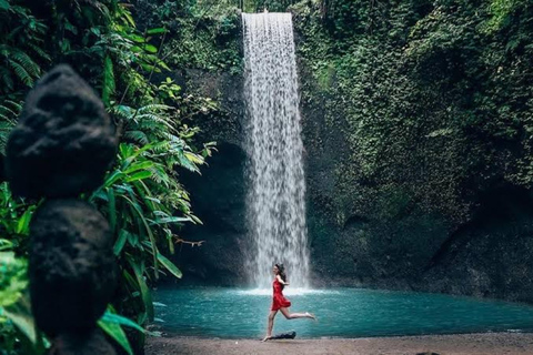 Ubud: Waterfalls, Rice Terrace & Bali Swing, Private Tour Tour With All Entrance Tickets - private tours