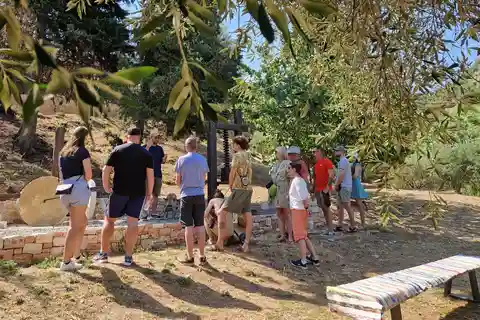 Noord-Corfu-olijftour met olijfolieproeverij en meze