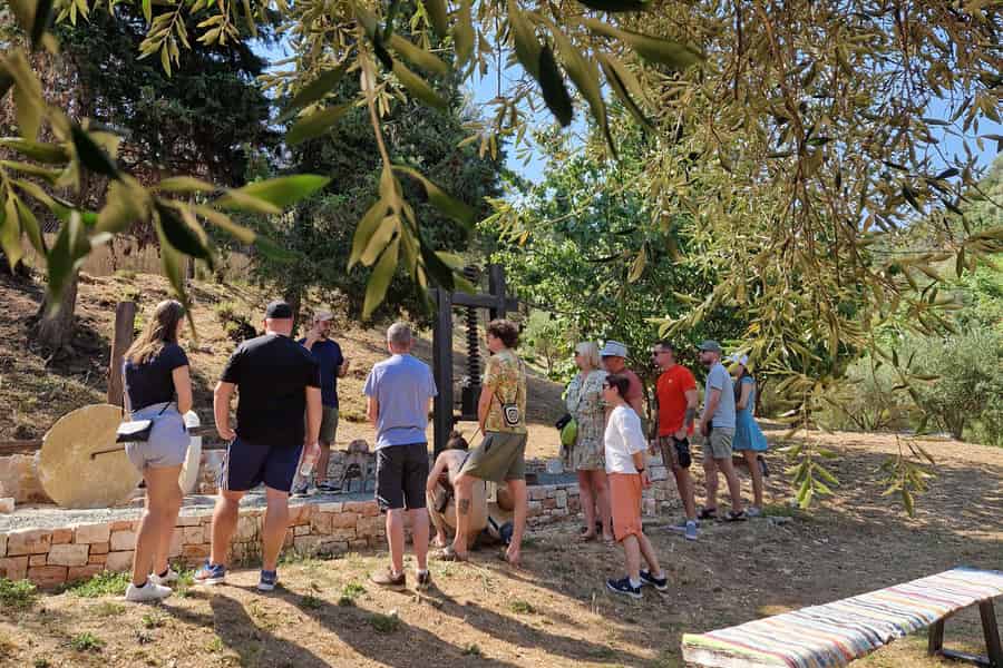 Nord-Korfu: Oliventour mit Olivenölverkostung und Mezze. Foto: GetYourGuide Nord-Korfu: Oliventour mit Olivenölverkostung und Mezze. Foto: GetYourGuide