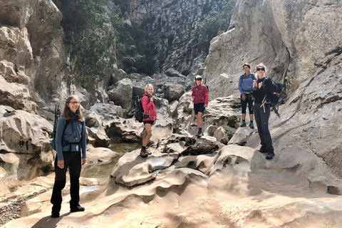 Mallorca: Torrent de Pareis Hiking Adventure