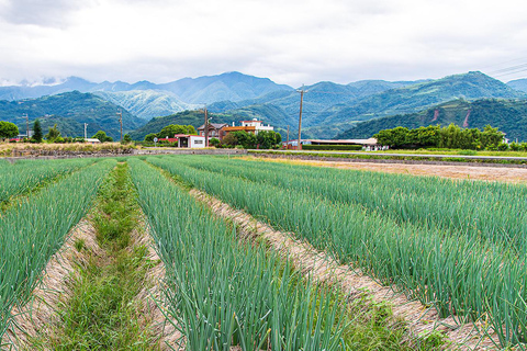 تايوان: جولة جزيرة خاصة لمدة 10 أيام مع فنادق 5 نجوم