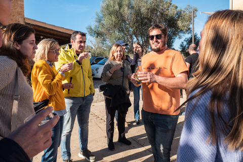 Mallorca: Visita bodega y cata de vinos, con productos mallorquines