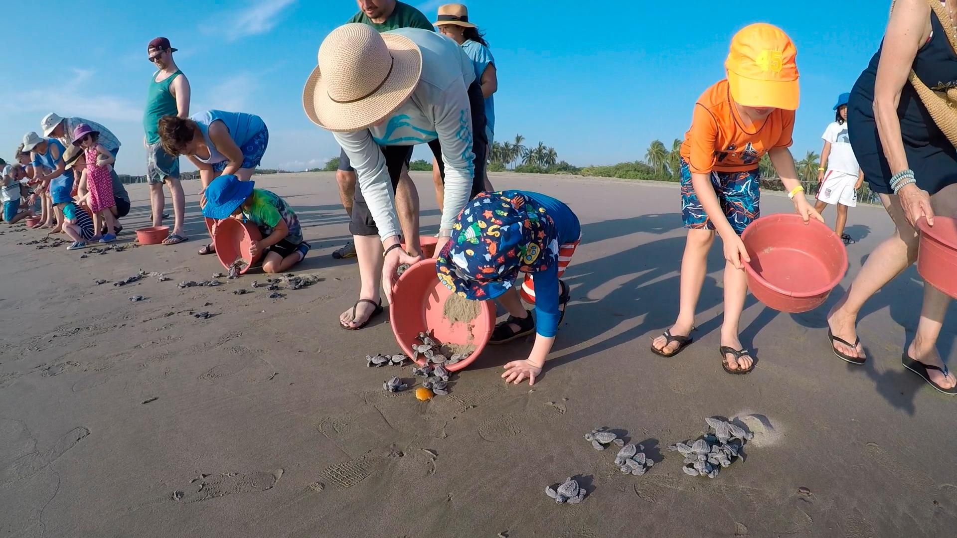 Ixtapa-Zihuatanejo: Schildkrötenbefreiungstour.
