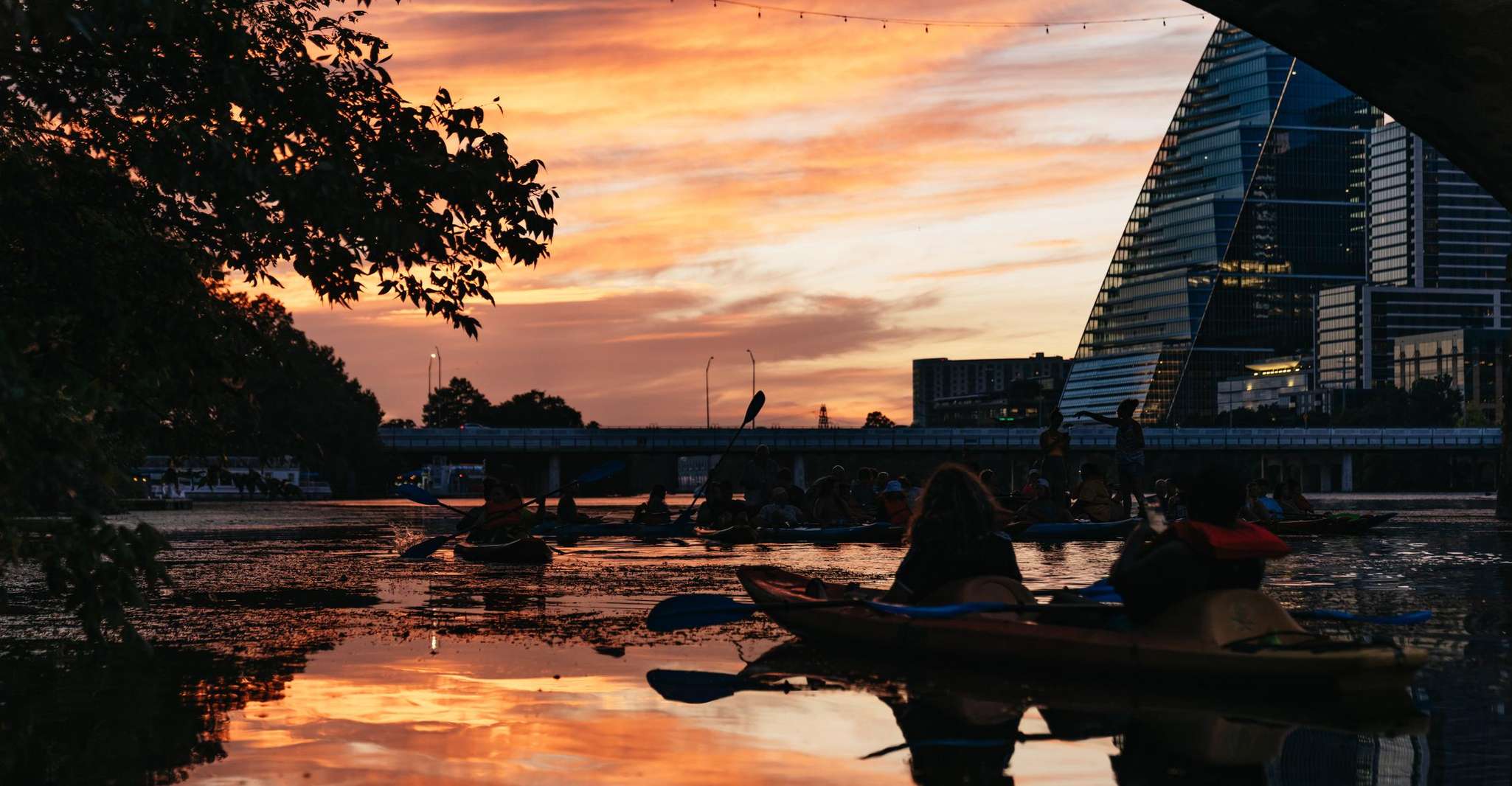Austin: Sunset Bat Watching Kayak Tour photo 15