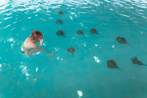 Zeepark: Zwemmen in zwembadaquarium met authentieke wezens