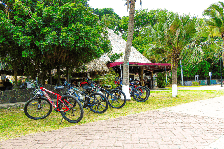 Panama: Causeway Bike Tour with Food Tastings