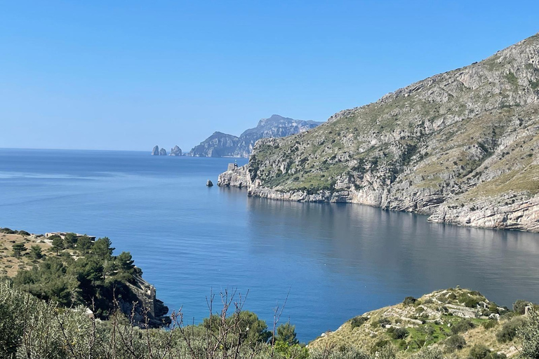 SORRENTO AMALFI COAST: TREKKING AND OVERNIGHT IN NERANO BAY BAY OF NERANO: hiking guide trekking and overnight in Nerano