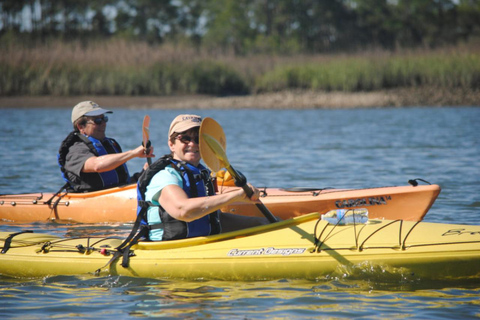 Charleston: Tandem- oder Einzelkajaktour mit einem GuideSumpfkajak Tour - Tarpon Sit-on-top Single