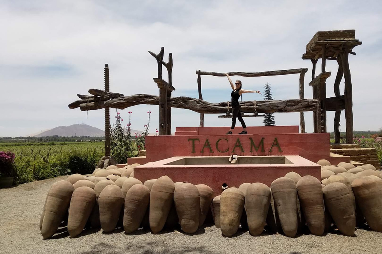 Pisco &amp; Wine Tasting Tour: Descobre a fascinante viagem do Pisco