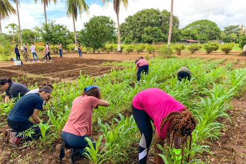 Los Santos, Panama: Wycieczka z przewodnikiem po Finca PamelPanama: Wycieczka z przewodnikiem po Finca Pamel