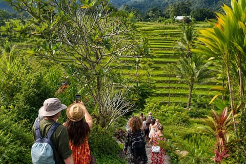 Sidemen: Rice Fields & Local Village Trek - Image 2