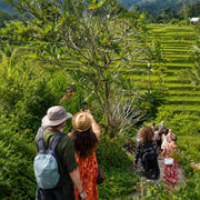 Sidemen: Rice Fields & Local Village Trek