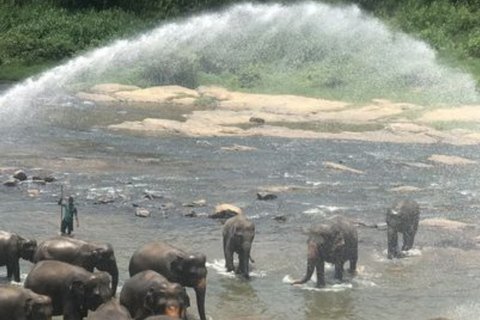 Bentota/Mirissa/Hiriketiya/Tangalle: Ella Scenic Day Tour Udawalawe Elephant Transit Home & Ella Day Tour