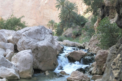 Desde Mascate: Día completo en Wadi Shab y el sumidero de Bimmah