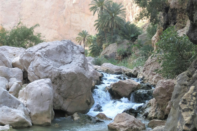 Desde Mascate: Día completo en Wadi Shab y el sumidero de Bimmah