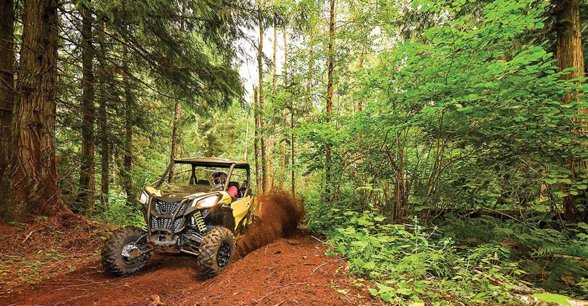 From San Juan, Puerto Rico Off-Road UTV Experience - Housity