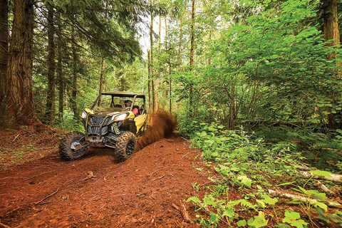 San Juan : Expérience d'Eco-Off-Road UTV à Hacienda Campo Rico