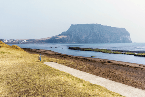 Jeju East: K-Drama Filming Spots Tour with Hotel Pickup