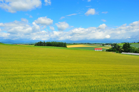 Patchwork Road Hidden-Gem Flower Tour