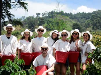 Medellín urban coffee farm tour with tram and cable car