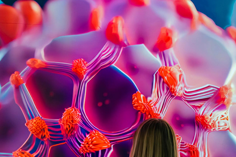 Prague: Signal Space Digital Art Gallery Entry Ticket Signal Space Digital Art Gallery Open Ticket