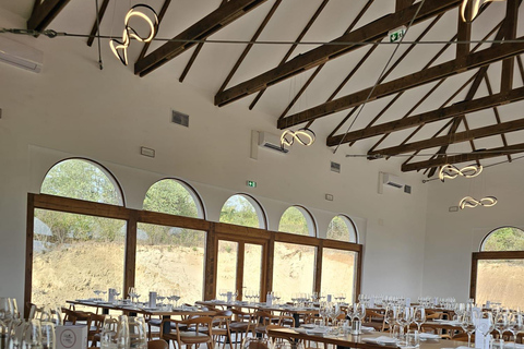 From Bucharest: Dealu Mare Winery Tour & Wine Tasting