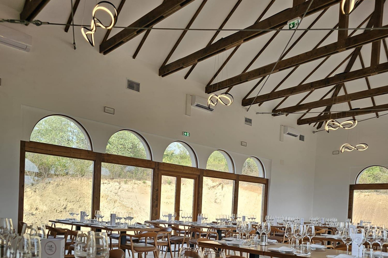 From Bucharest: Dealu Mare Winery Tour & Wine Tasting