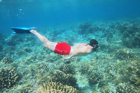 Gili Trawangan: Gili Islands Snorkeling Tour with Turtles Gili Trawangan: Snorkeling Tour with Turtles
